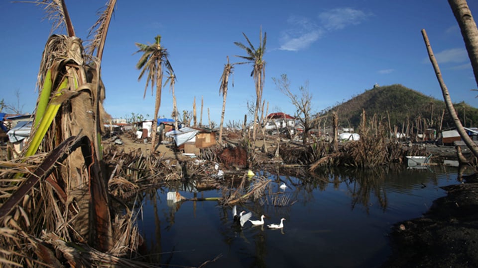 Auch einen Monat später sind die Spuren des Taifuns auf den Philippinen nicht zu übersehen.