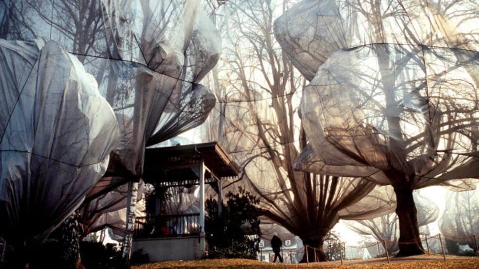 Eingewickelt: 178 Bäumen verhüllten Christo und Jeanne-Claude im Garten der Fondation Beyeler in Basel