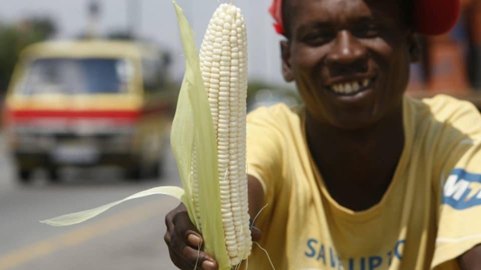 Maisverkäufer in Südafrika.