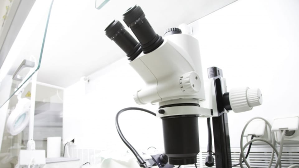 Bei den Biologen ist der Konkurrenzkampf besonders hart.