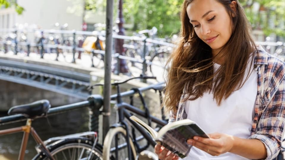 Für die Grösse des Sprachraums hat die Niederlande und Flandern einen enormen hohen Output an Literatur.