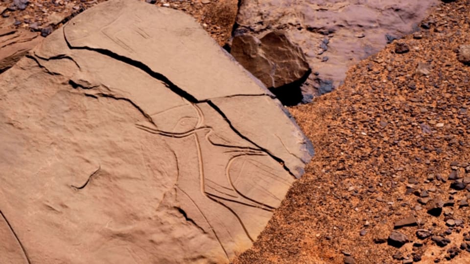 Prähistorische Ritzzeichnungen auf einer Steinplatte in Sluguilla Lawash, Westsahara.