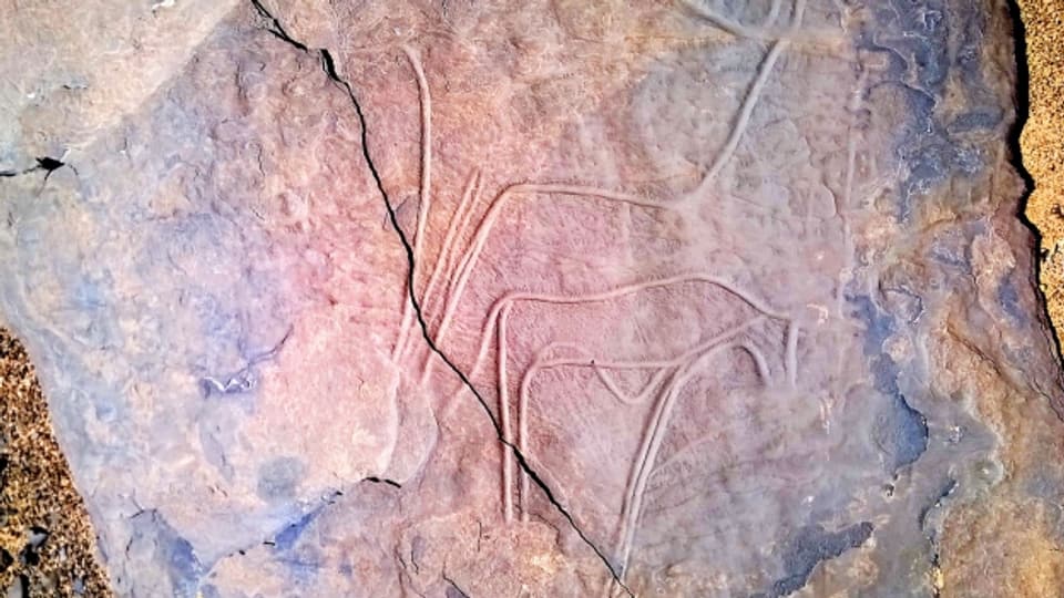 Prähistorische Ritzzeichnungen auf einer Steinplatte in Sluguilla Lawash, Westsahara.