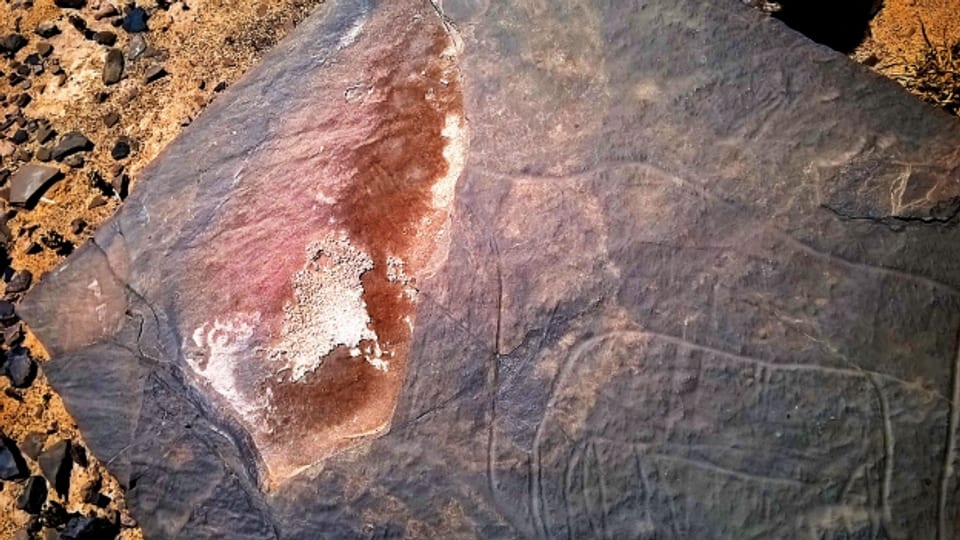 Eine Steinplatte mit prähistorischen Ritzzeichnungen, von der ein Teil weggeschlagen und geraubt wurde. Sluguilla Lawash, Westsahara