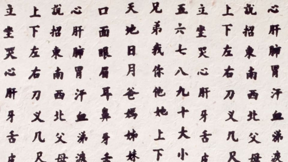 Die chinesische Schrift besteht aus ca. 87.000 Schriftzeichen.
