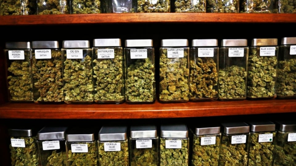 In mehr als der Hälfte der US-Bundesstaaten haben die Amerikaner legalen Zugang zu medizinischem Cannabis.