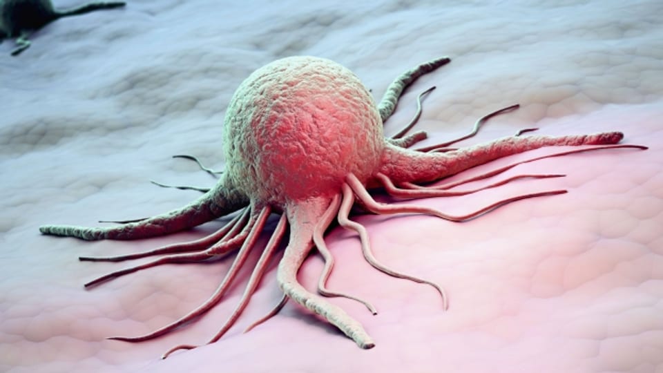Ein Computerbild einer Krebszelle.