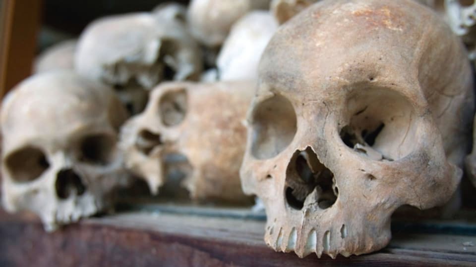 In unsern Museen liegen zahlreiche menschliche Überreste - sogenannte «human remains»
