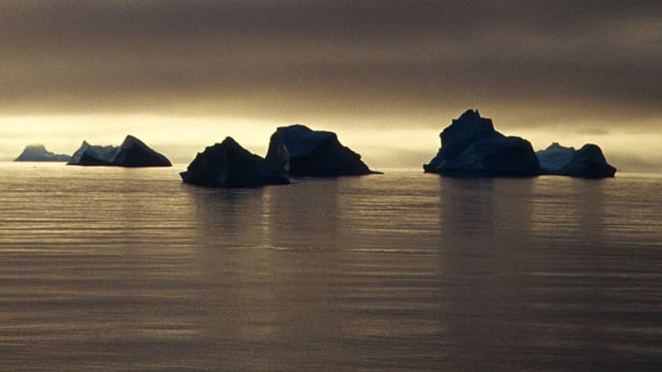 Vom Klimawandel betroffen: Eine Kette von Eisbergen vor Thule.