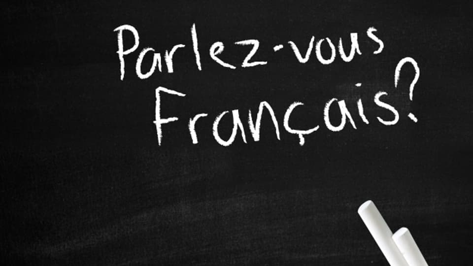 François Hollande hatte im Wahlkampf ums Präsidentenamt versprochen, die Regional-Sprachen-Charta des Europarates zu ratifizieren.