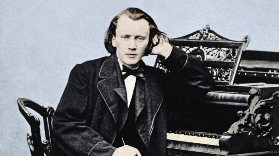 Bild des jungen Johannes Brahms