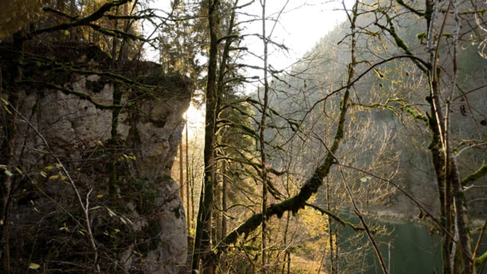 Die Landschaft im Jura ist oft rau – und heute für viele anziehend.