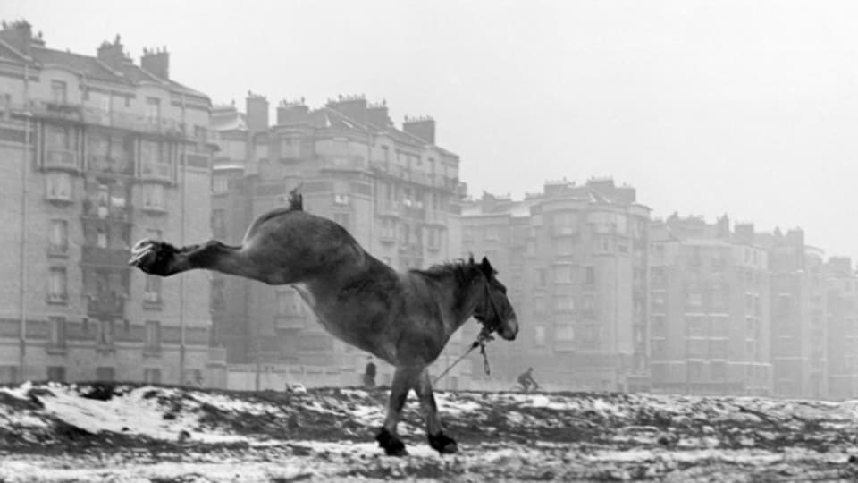 Porte de Vanves, Paris, 1951.