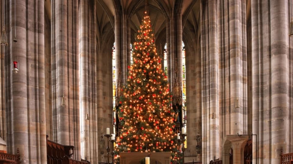 Auch der Christbaum kommt aus dem Norden, aber was noch?