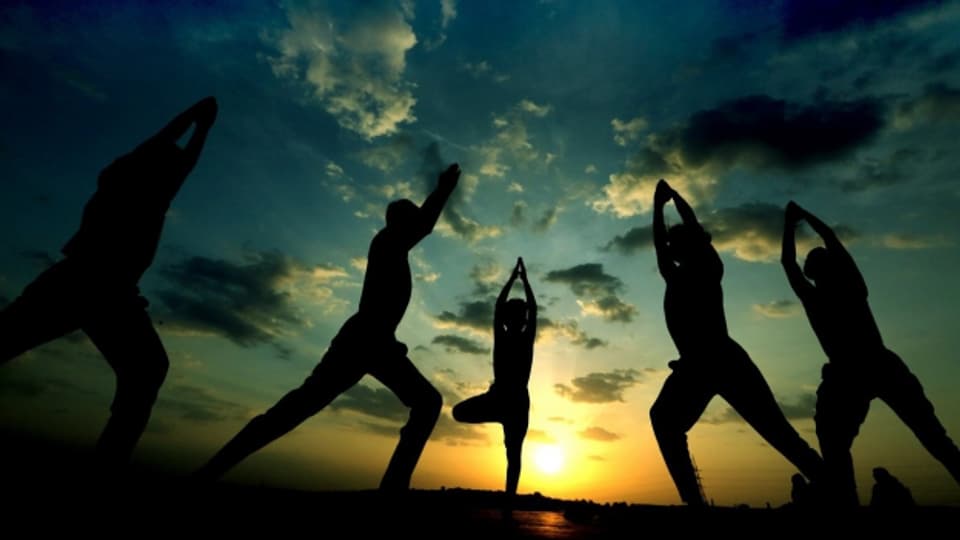 Yoga sei ein Lebensweg, sagen Menschen, die sich ernsthaft und ganzheitlich auf Yoga ein­gelassen haben.