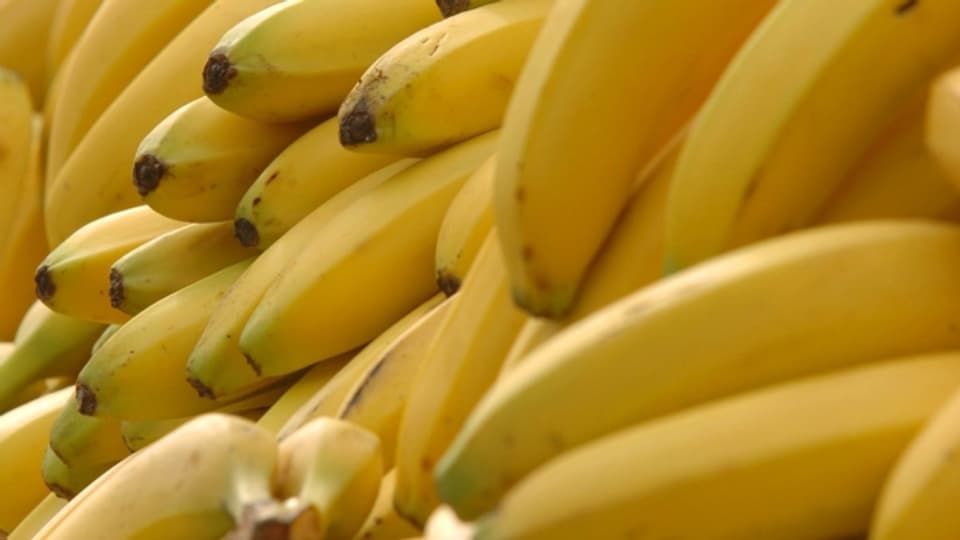 Die Banane ist eine der beliebesten Früchte der Schweiz.