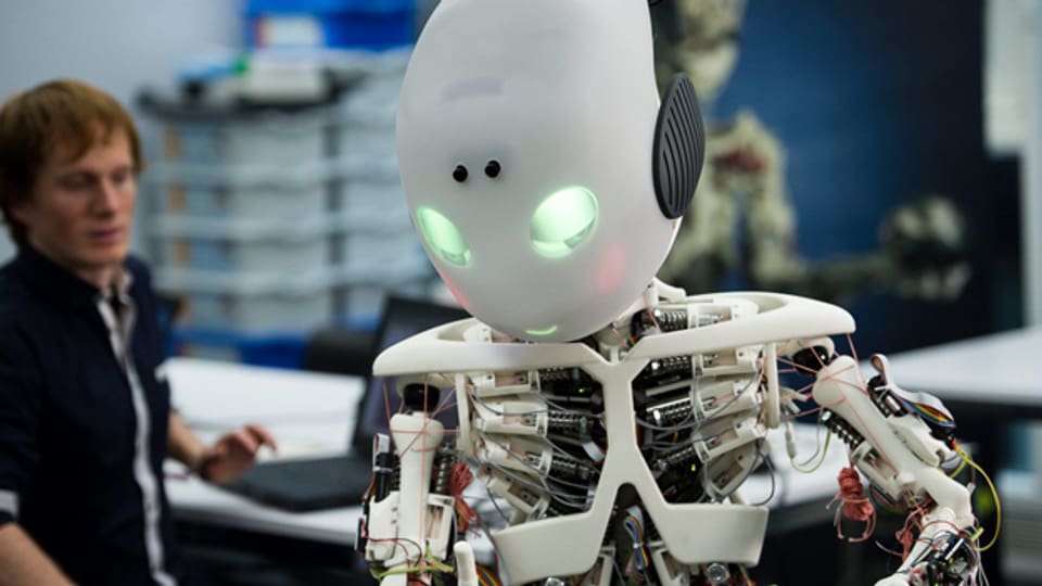 ROBOY, vom «Artificial Intelligence Laboratory» der Universität Zürich entwickelter Roboter, 27.2.13.