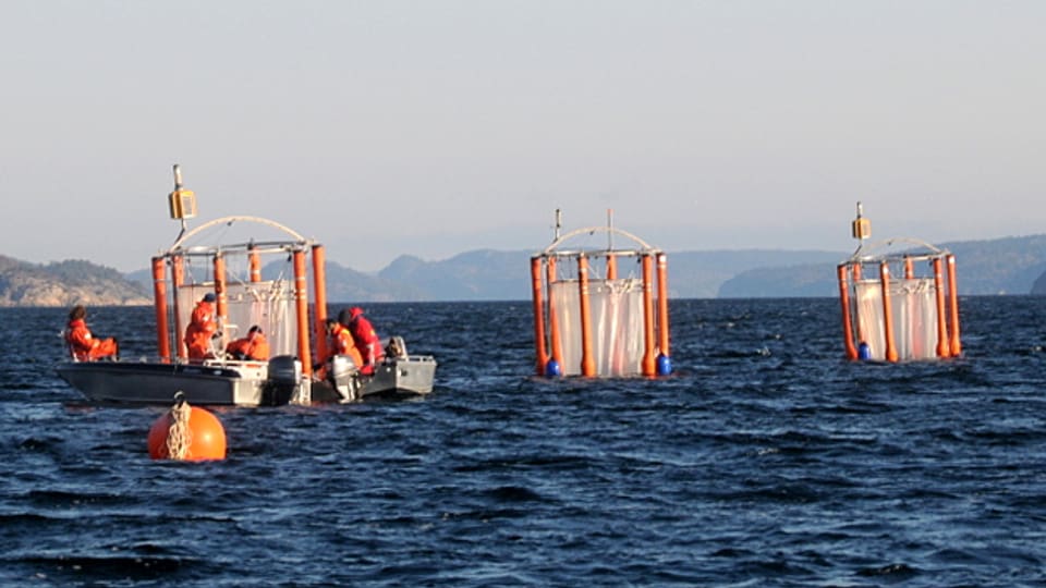 Die Meeresforscher isolieren mit diesen Röhren das Meerwasser im Fjord, um untersuchen, wie es auf den steigenden CO2-Gehalt in der Luft führt.