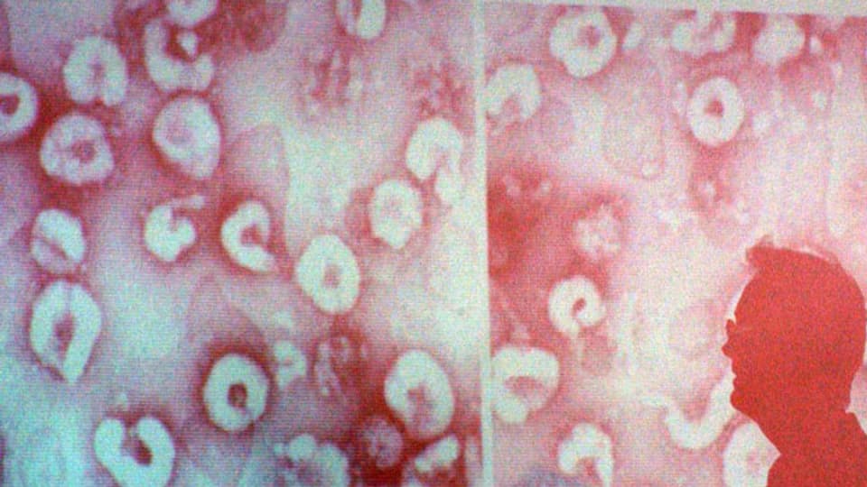 Corona Virus Corona Virus