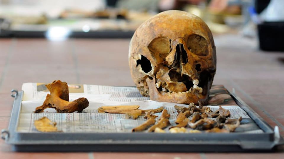 Ausgegrabene Knochen in St. Gallen, 2009.
