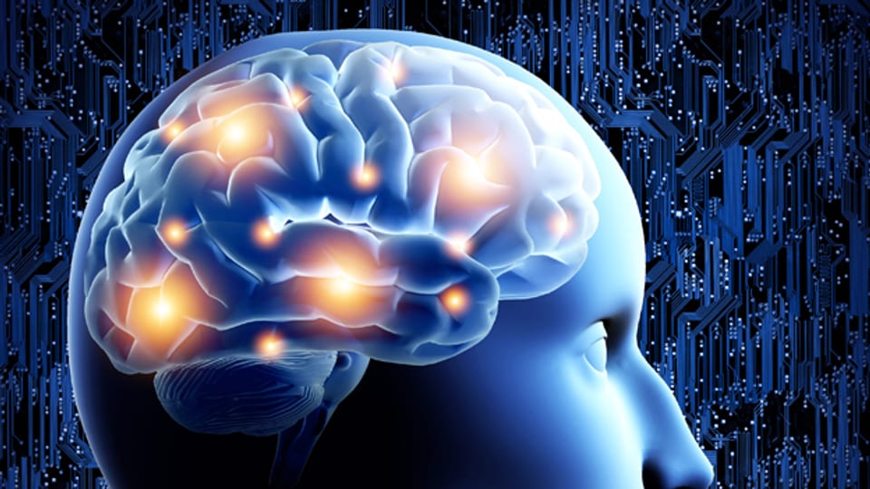 Das «Human Brain Project» soll das menschliche Gehirn am Computer simulieren.