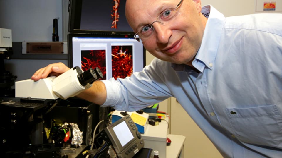 Für die Weiterentwicklung des Lichtmikroskops gab es den diesjährigen Chemie-Nobelpreis.