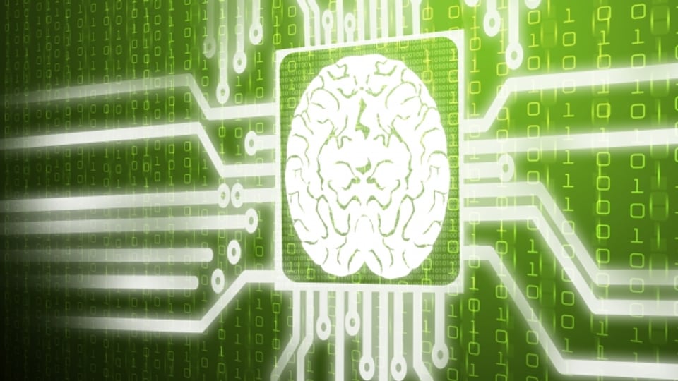 Mit dem «Human Brain Project» soll das menschliche Hirm am Computer simuliert werden können.
