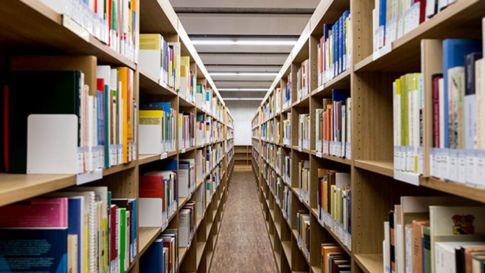 Wissenschaftliche Bücher in der Bibliothek der Universitaet Bern.