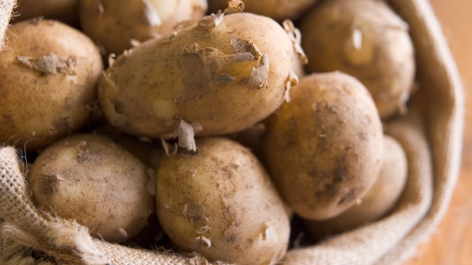 Nur die Hälfte der Kartoffeln von Schweizer Äckern landen auf unseren Tellern.