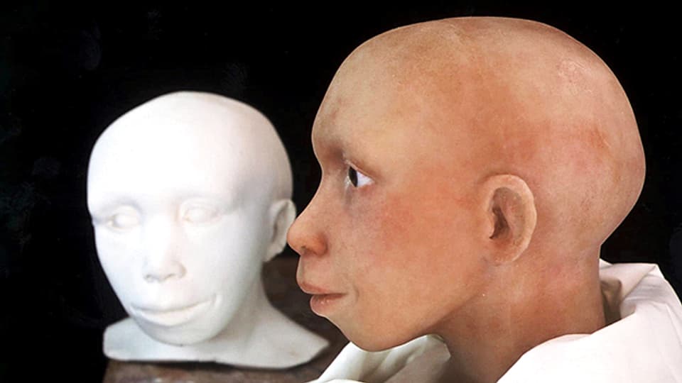 Zwischenstadien in der Nachbildung des Kopfes eines vierjährigen Neandertalkindes basierend auf einer computerunterstützten Rekonstruktion des Schädels, Handout des Anthropologischen Instituts der Universität Zürich.