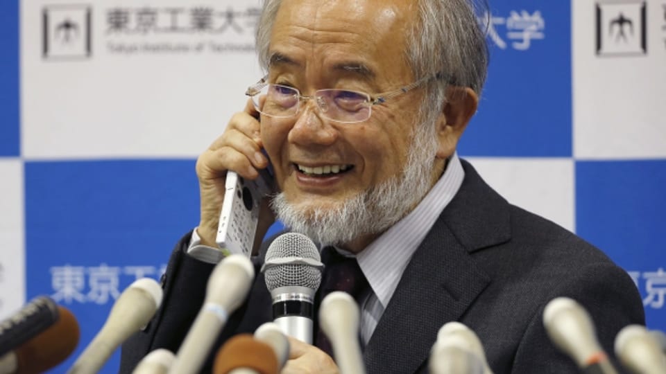 Nobelpreisträger Yoshinori Ohsumi freut sich als er mit dem japanischen Premierminister Shinzo Abe über seine Auszeichnung spricht.