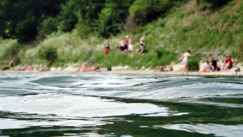 Dank neuen Gesetzen ist das Rheinwasser heute wieder sauber.