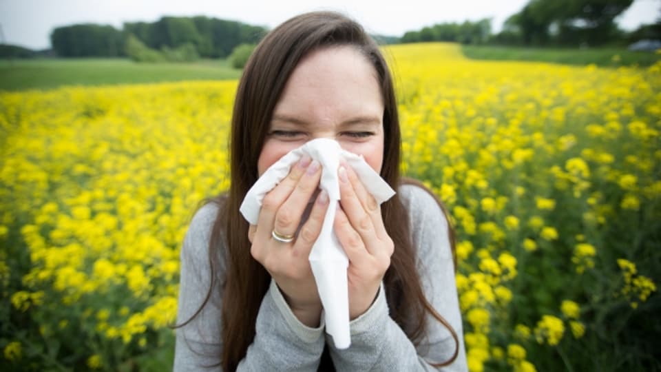 Allergien plagen Menschen