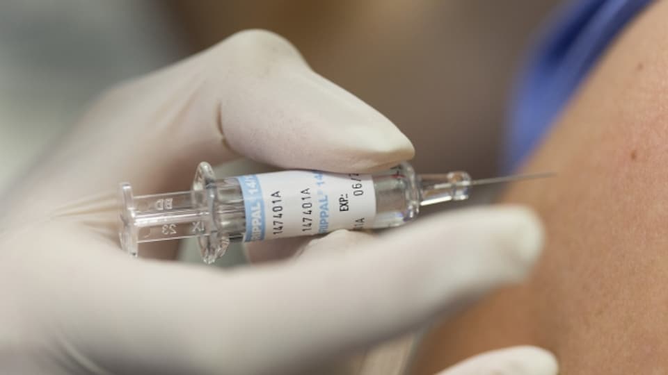 Forscher mussten bereits festlegen, wie der Impfstoff für den nächsten Winter aussieht.