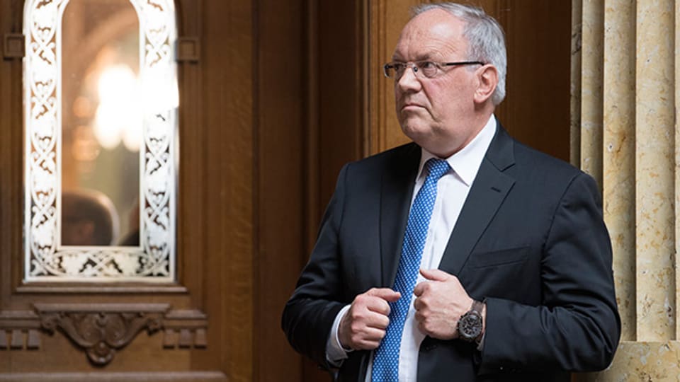 Johann Schneider-Ammann