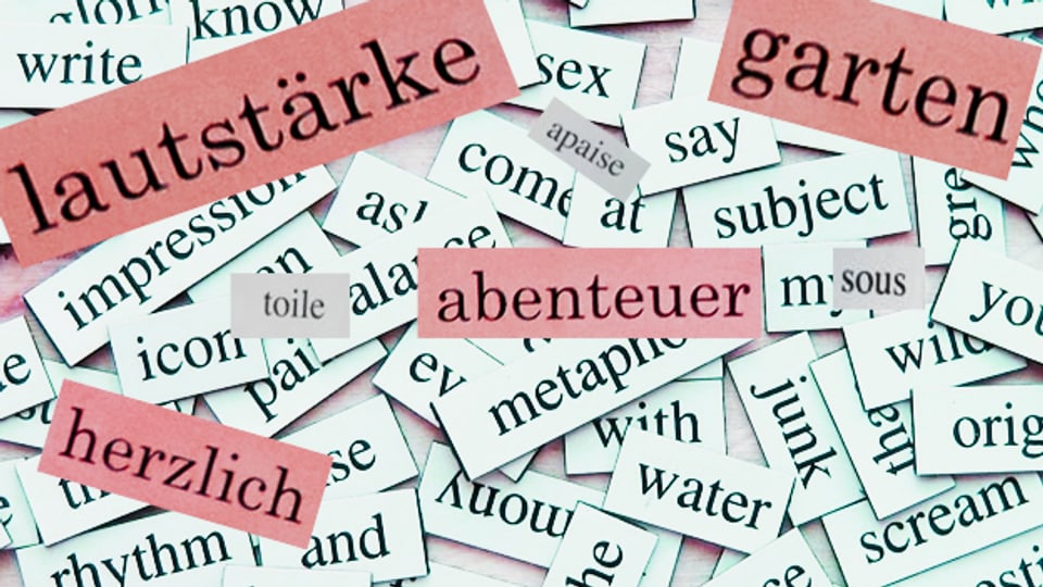 Welche Sprache hat am meisten Wörter?