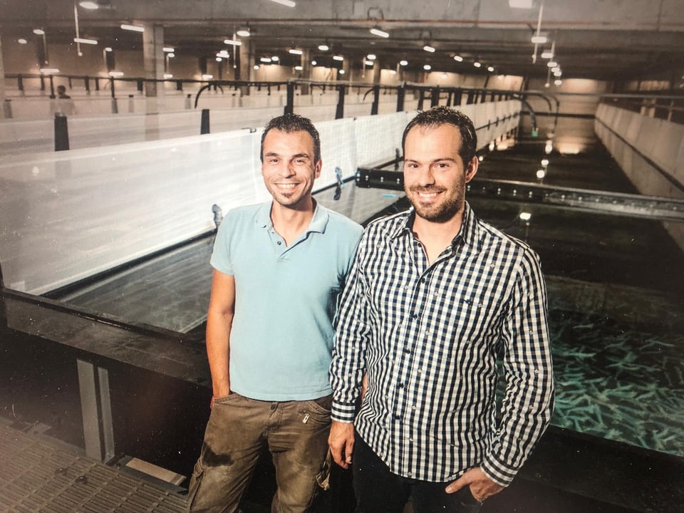 Rafael Waber und Michael Siragusa haben die Firma SwissShrimp gegründet.