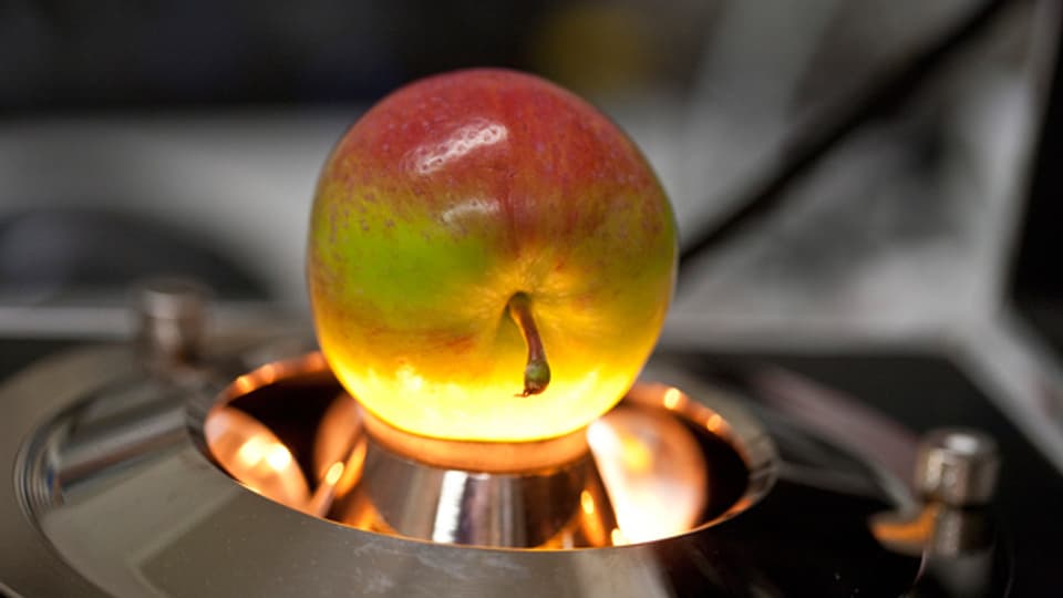 An diesem Apfel wird eine zerstörungsfreie Qualitätsmessung mit Infrarot-Licht durchgeführt.