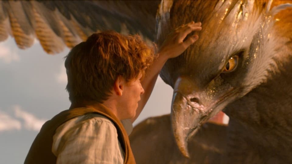 Eigentlich will Newt Scamander (Eddie Redmayne) nur das vierflügelige Vogelwesen Frank nach Arizona bringen.