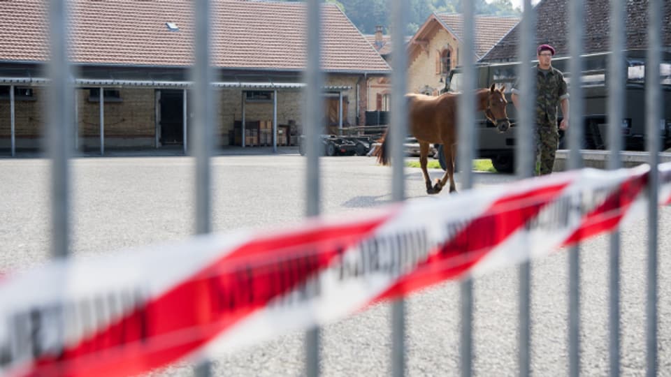 Vor fünf Jahren sorgte der Fall Hefenhofen für grosses Aufsehen, als Bilder von verwahrlosten Pferden an die Öffentlichkeit gelangten.