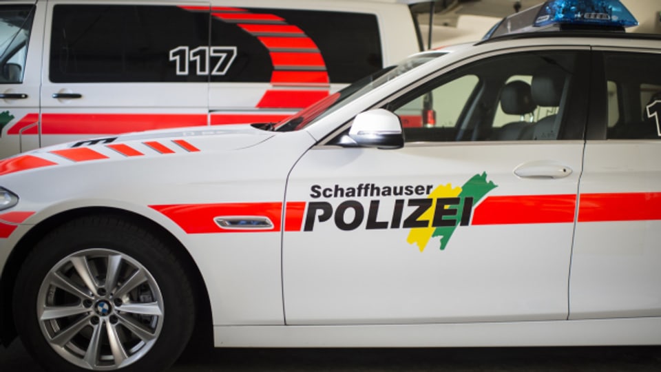 In den Kantonen Schaffhausen und Thurgau sind drei junge Männer wegen Terrorverdachts festgenommen worden.