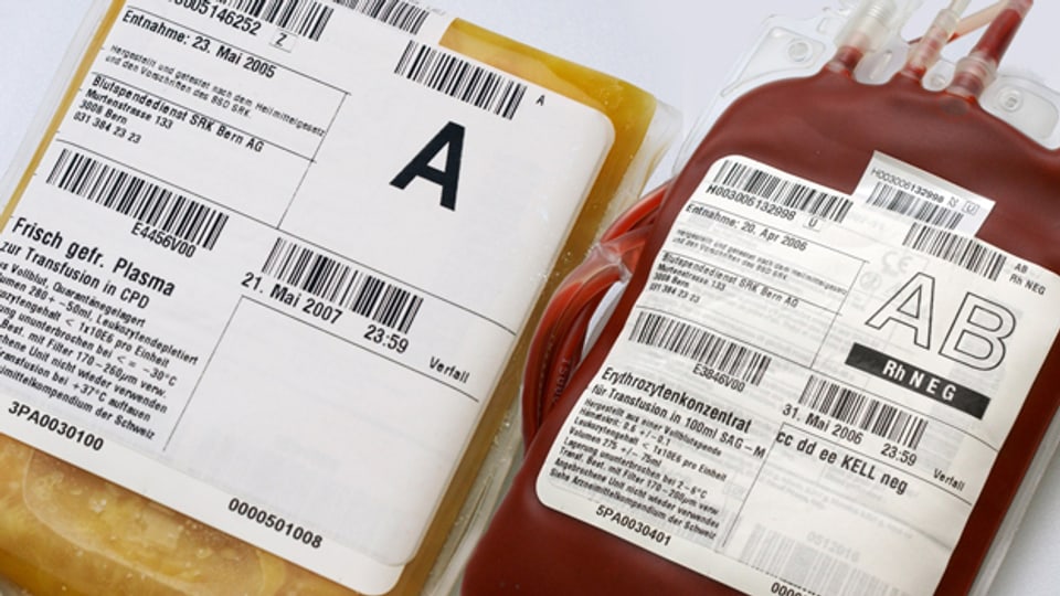 Plasma, das «Gold» aus unserem Blut, teuerster Rohstoff der Pharmaindustrie (links) - und rote Blutkörperchen.