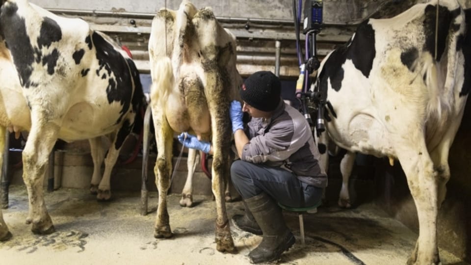 Macht's die Milch noch?