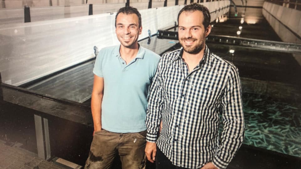 Die Autoren einer Startup-Erfolgsgeschichte: Michael «Sira» Siragusa und Rafael «Räffu» Waber von Swissshrimp