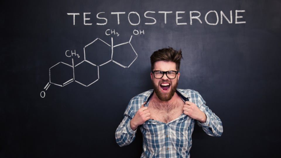 Testosteron macht aggressiv - Mythos oder Wahrheit?