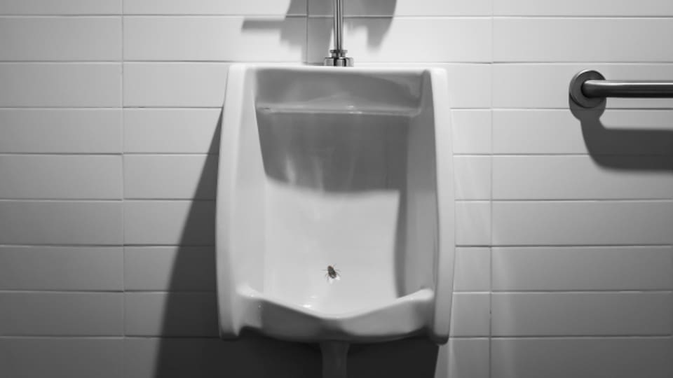 Der berühmteste Nudge: Die Fliege im Pissoir macht Männer treffsicherer