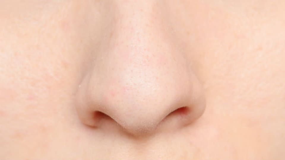 Welchen Geruch hat diese Nase für immer gespeichert?