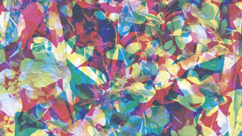 Das farbenfrohe Cover von Caribou