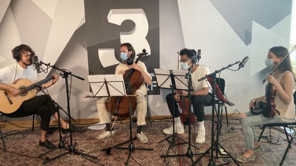 Live Session Panda Lux Mit Dem Ensemble Deluxe Srf 3 Punkt Ch Srf