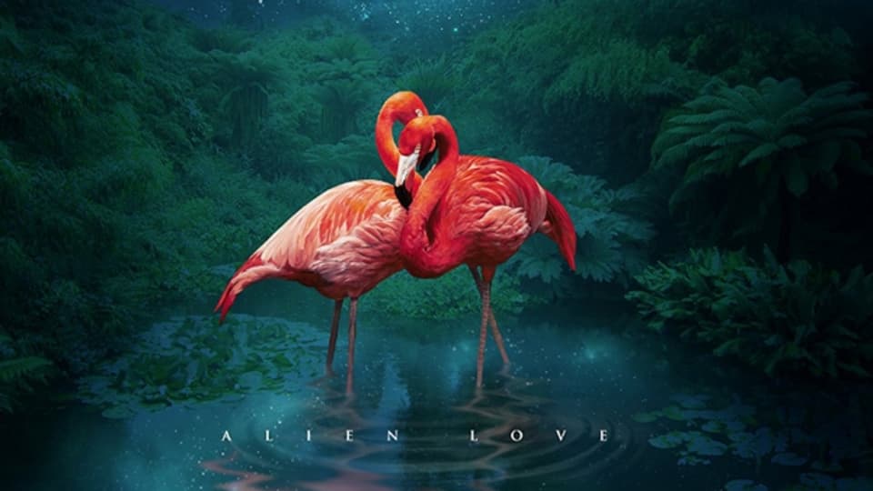 Fùgù Mango „Alien Love“ (2017)